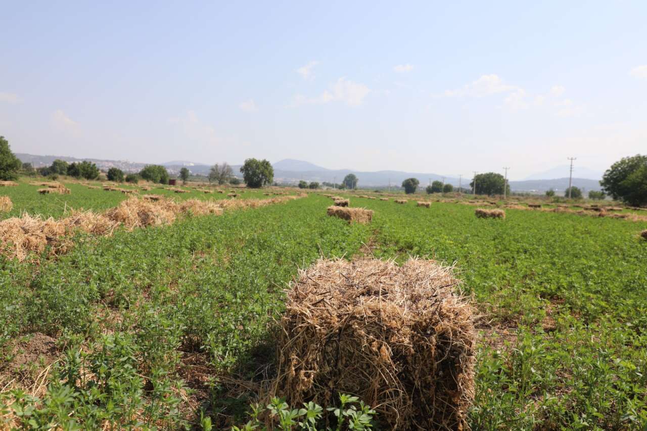 Büyükşehir’den Üreticiye Büyük Destek 4